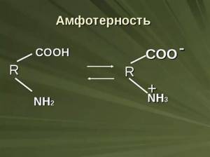 Амфотерность в химии - определение, свойства и характеристика амфотерных веществ