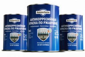 Anti-corrosion paint for rust