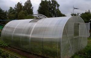 An automatic ventilation system based on a hydraulic cylinder, despite some disadvantages, is quite often used in personal greenhouses