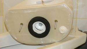 toilet cistern with gasket