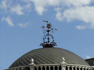 Weather vane on the roof: functional qualities and symbolism (22 photos)