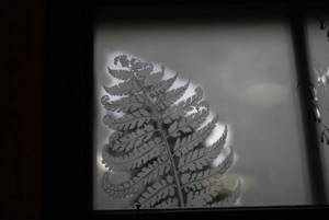 frosted glass engraving