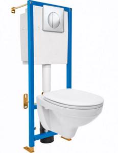 Installation and toilet