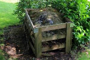 How to decorate a septic tank at the dacha: decorating options for septic tanks