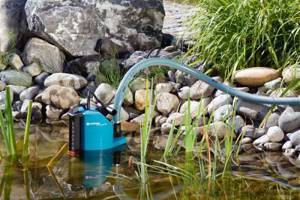 How to choose a pump for watering a garden from a pond, barrel or reservoir