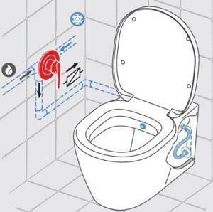 How to properly connect a bidet to the sewer - useful tips