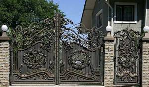 Gate and fence
