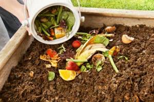 Do-it-yourself compost pit at your summer cottage