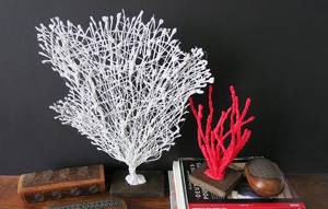 corals with hot glue