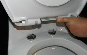 Attaching the lid to the toilet
