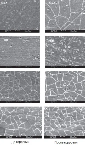 Microimages in topographic contrast mode of anodic oxide coatings