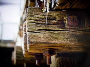 мокрая древесина