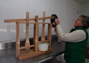 На фото – навешивание груза на датский ручной пресс для сыра