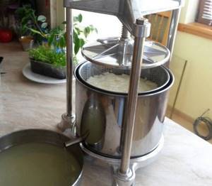 In the photo - a manual screw cheese press