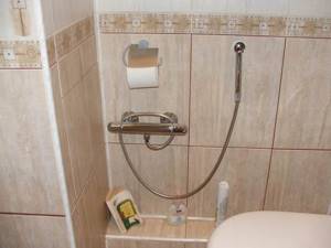wall mounted shower