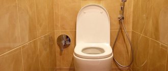 Настенный гигиенический душ в небольшом туалете