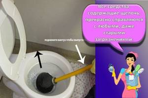 cleaning a toilet with a plunger