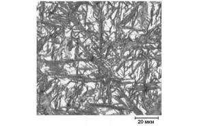 Optical micrograph of martensite lamellar structure
