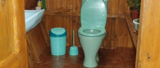 Организация туалета с удобным унитазом позволит существенно повысить уровень комфорта на даче
