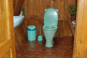 Organizing a toilet with a comfortable toilet will significantly increase the level of comfort at the dacha