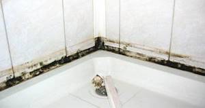 Mold and mildew in the bathroom