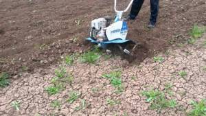 Why does the cultivator bury itself in the ground?
