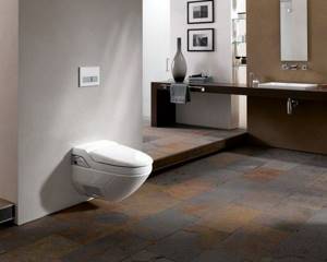 wall-hung toilet with bidet function