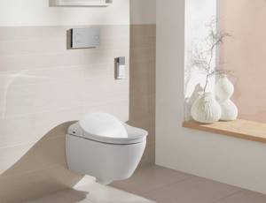 Wall-hung toilet with hidden cistern