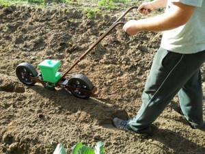 sowing seeds with a manual seeder