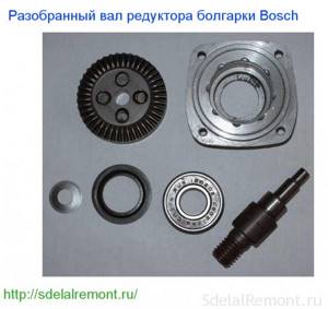 Bosch gearbox disassembled