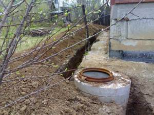 where to drain from the septic tank