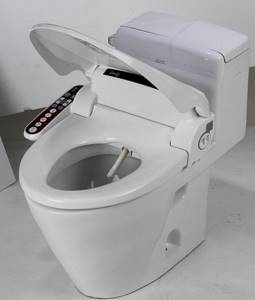 toilet combined with bidet