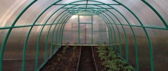Greenhouses made of profile pipes: production, best projects, drawings with dimensions