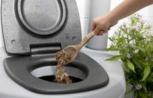Peat toilet for a summer house: which one is better