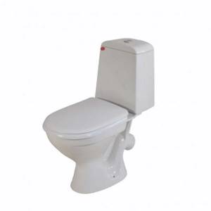 toilet with microlift seat