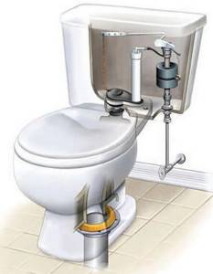 toilet in section