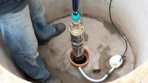 Installation of a well pump
