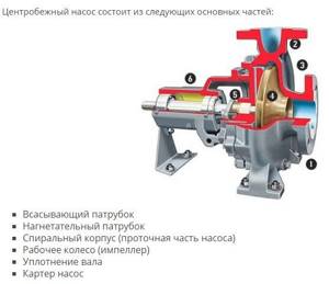 centrifugal pump device