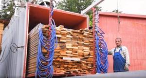 Vacuum drying chambers for wood