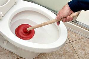 Plunger for cleaning the toilet