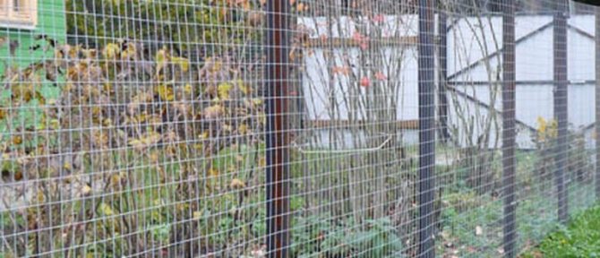 DIY Welded Galvanized Mesh Fence