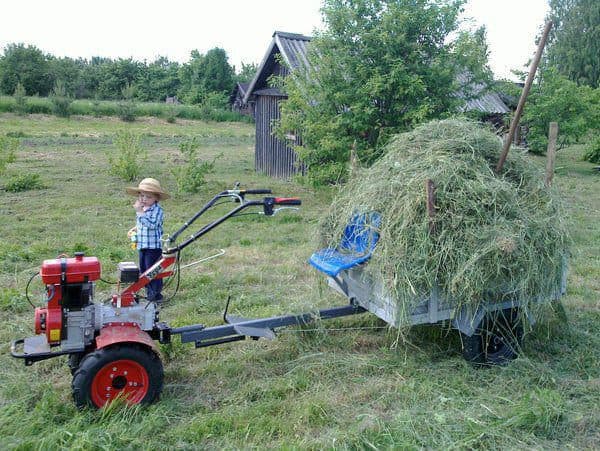 Harvesting hay