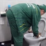 The toilet is clogged: what to do next, how to remove the clog?
