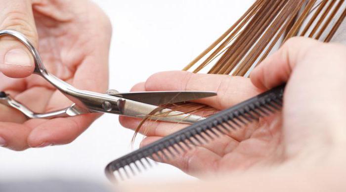 sharpening professional hairdressing scissors